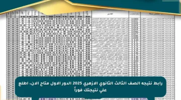 رابط نتيجة الصف الثالث الثانوي الأزهري 2025 الدور الأول متاح الآن، اطلع على نتيجتك فوراً
